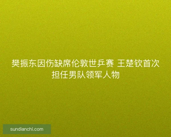樊振东因伤缺席伦敦世乒赛 王楚钦首次担任男队领军人物 樊振东因伤缺席伦敦世乒赛 王楚钦首次担任男队领军人物