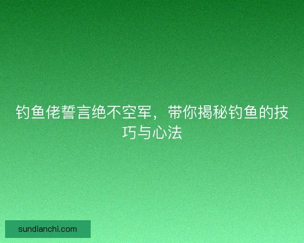 钓鱼佬誓言绝不空军，带你揭秘钓鱼的技巧与心法