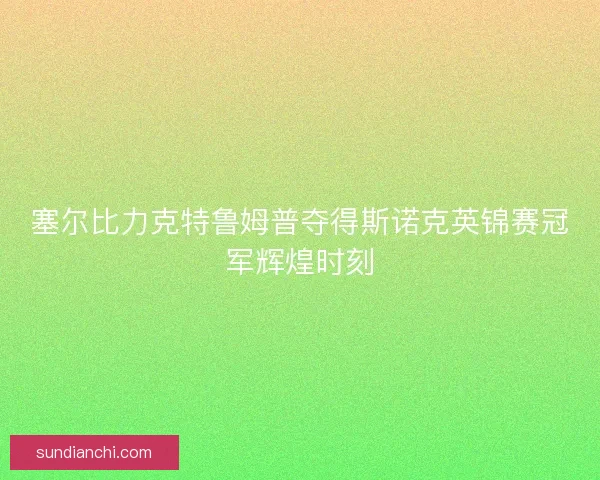 塞尔比力克特鲁姆普夺得斯诺克英锦赛冠军辉煌时刻
