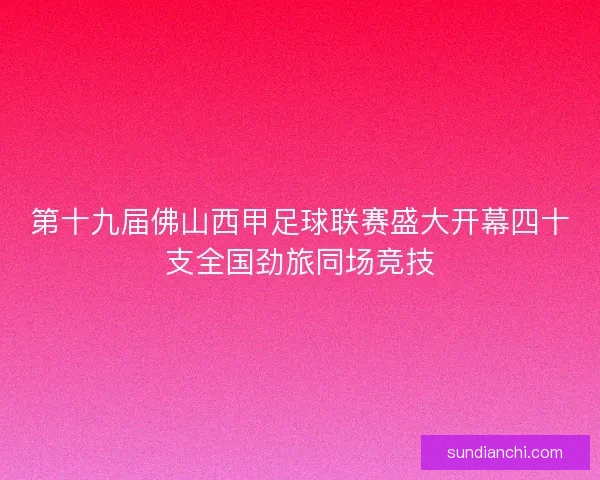 第十九届佛山西甲足球联赛盛大开幕四十支全国劲旅同场竞技