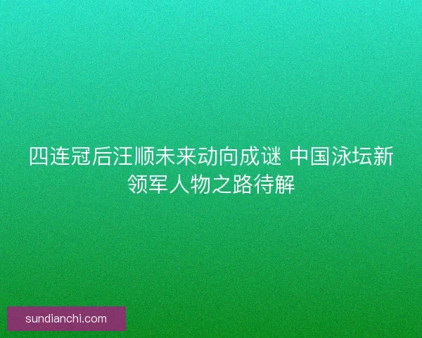 四连冠后汪顺未来动向成谜 中国泳坛新领军人物之路待解 四连冠后汪顺未来动向成谜 中国泳坛新领军人物之路待解